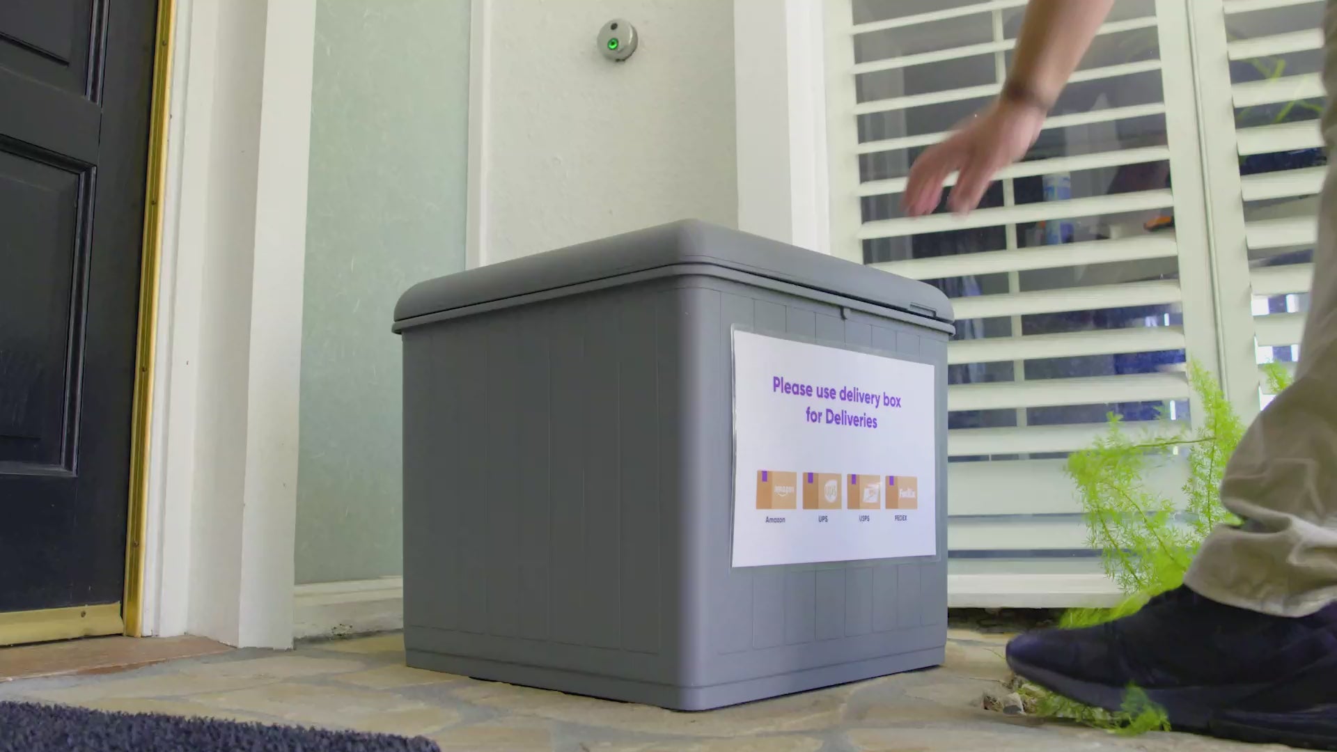 Baigan Box – My Store